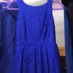 royal blue dress